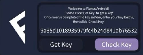 check for the valid key