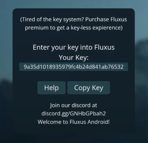 fluxus executor key official